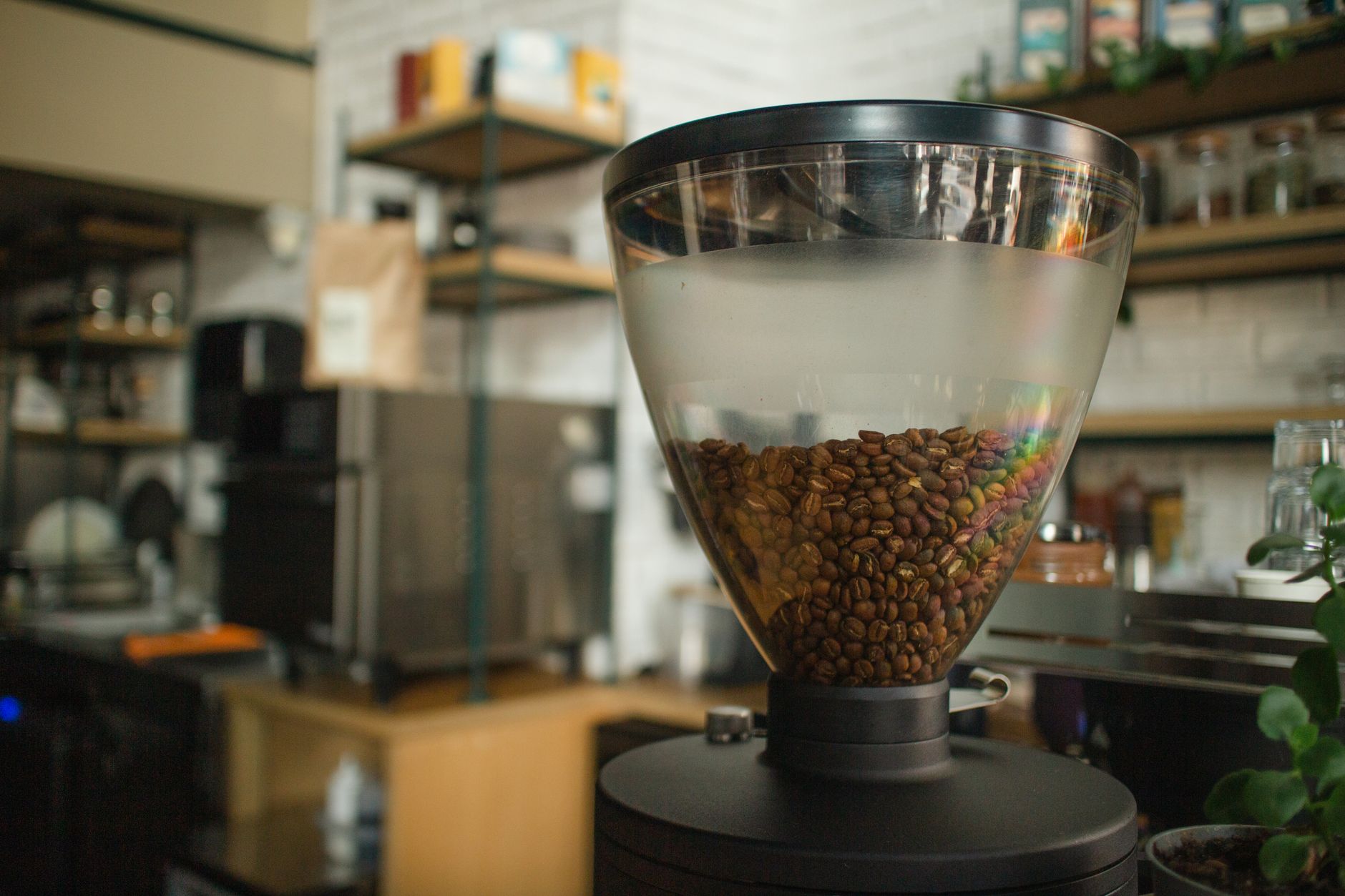 Freshly ground coffee beans on a wooden table with a coffee grinder in the background